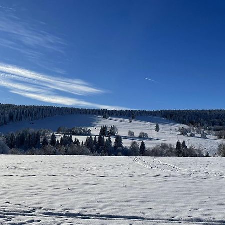 Apartman Nove Hute Sumava Экстерьер фото