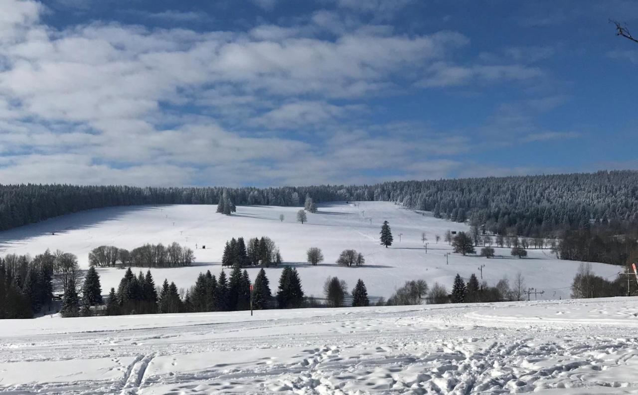 Apartman Nove Hute Sumava Экстерьер фото