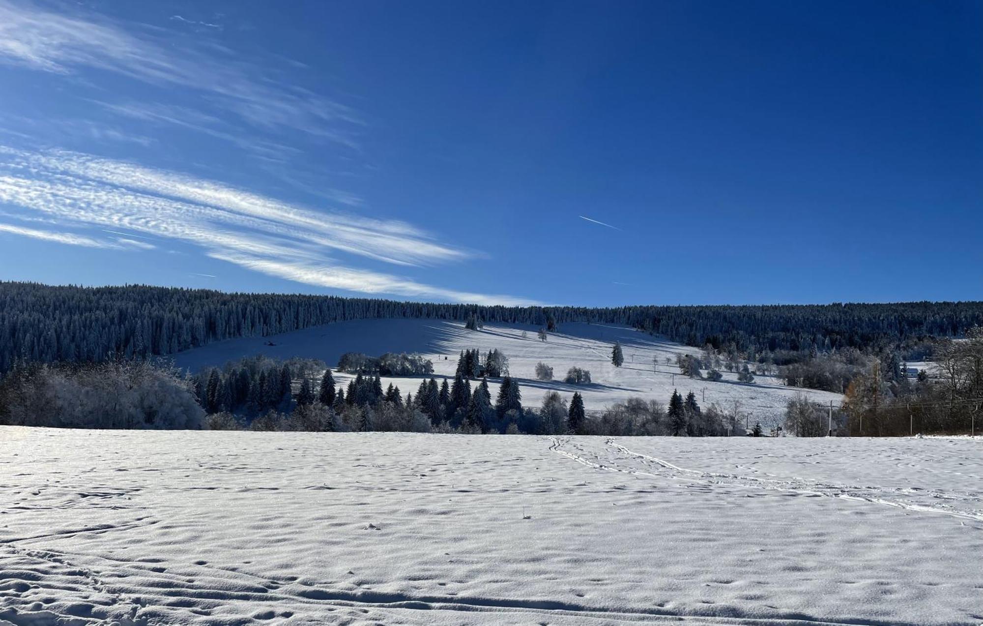 Apartman Nove Hute Sumava Экстерьер фото